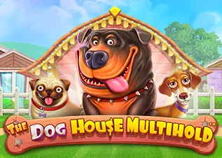 fuku888 ดีไหม The Dog House Multihold ทดลองเล่นฟรี